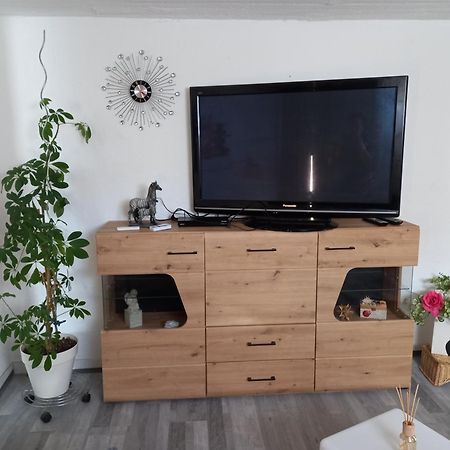 60 M² Ferienapartment Zentrumsnahe Mit Gartenbenutzung Steyr Esterno foto