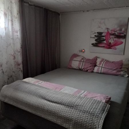 60 M² Ferienapartment Zentrumsnahe Mit Gartenbenutzung Steyr Esterno foto