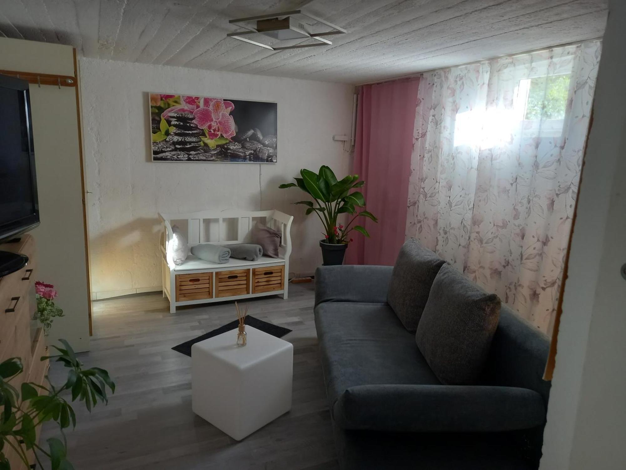 60 M² Ferienapartment Zentrumsnahe Mit Gartenbenutzung Steyr Esterno foto