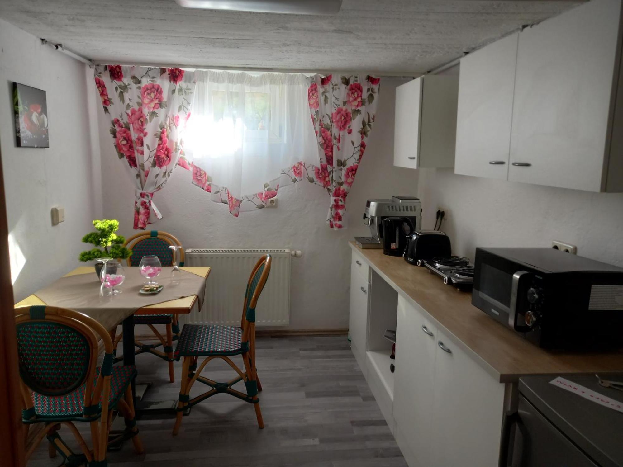 60 M² Ferienapartment Zentrumsnahe Mit Gartenbenutzung Steyr Esterno foto